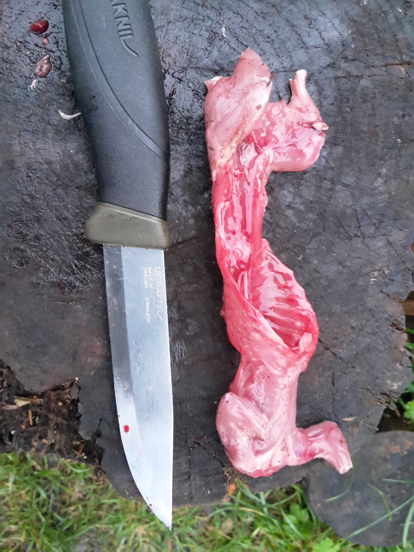 Fortgeschrittenen Survival Training | 3-Tages Kurs