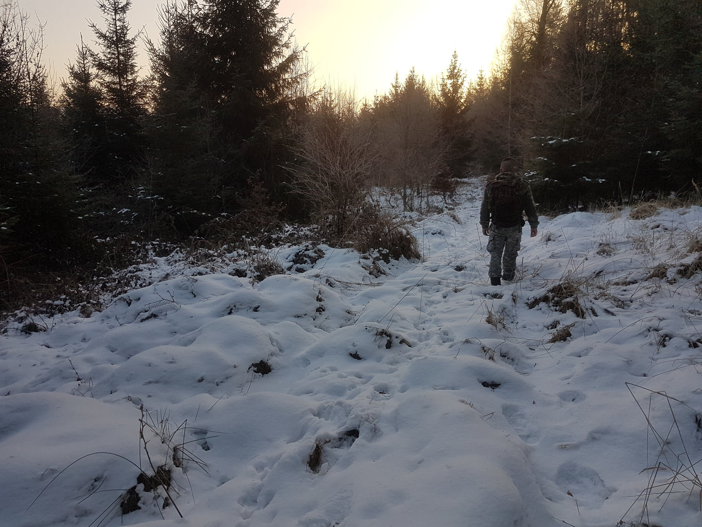 Fortgeschrittenen Survival Training | 3-Tages Kurs