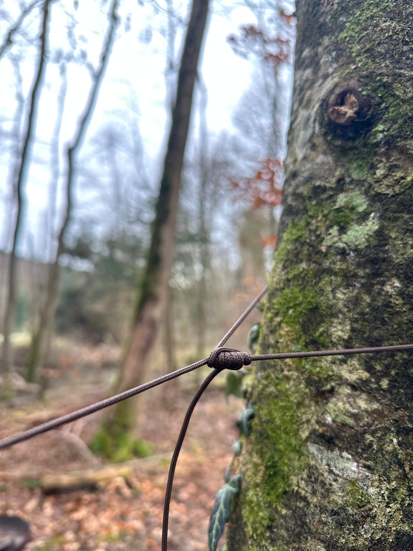 Bushcraft Workshop | 1-Tages Kurs