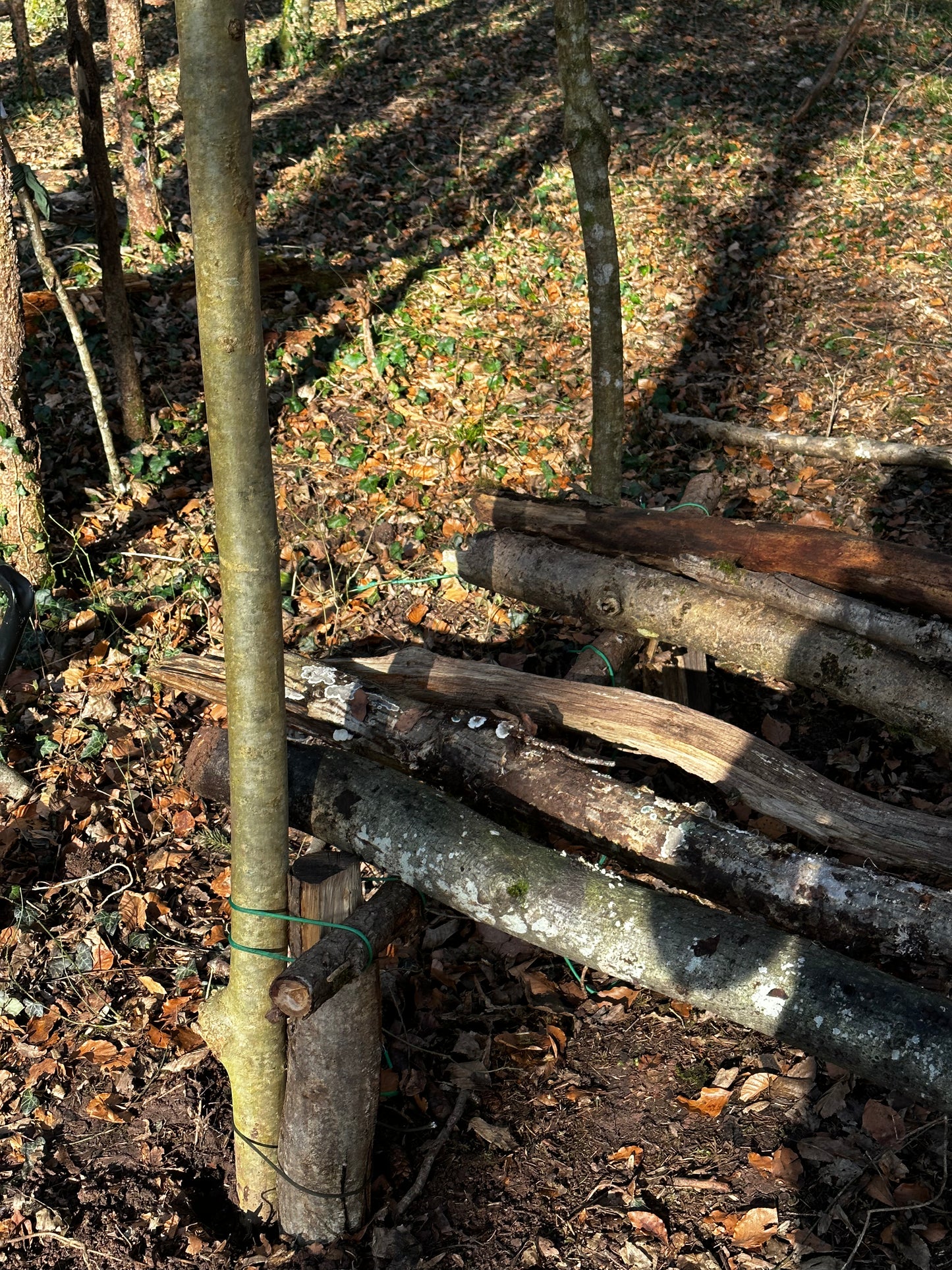 Bushcraft Workshop | 1-Tages Kurs