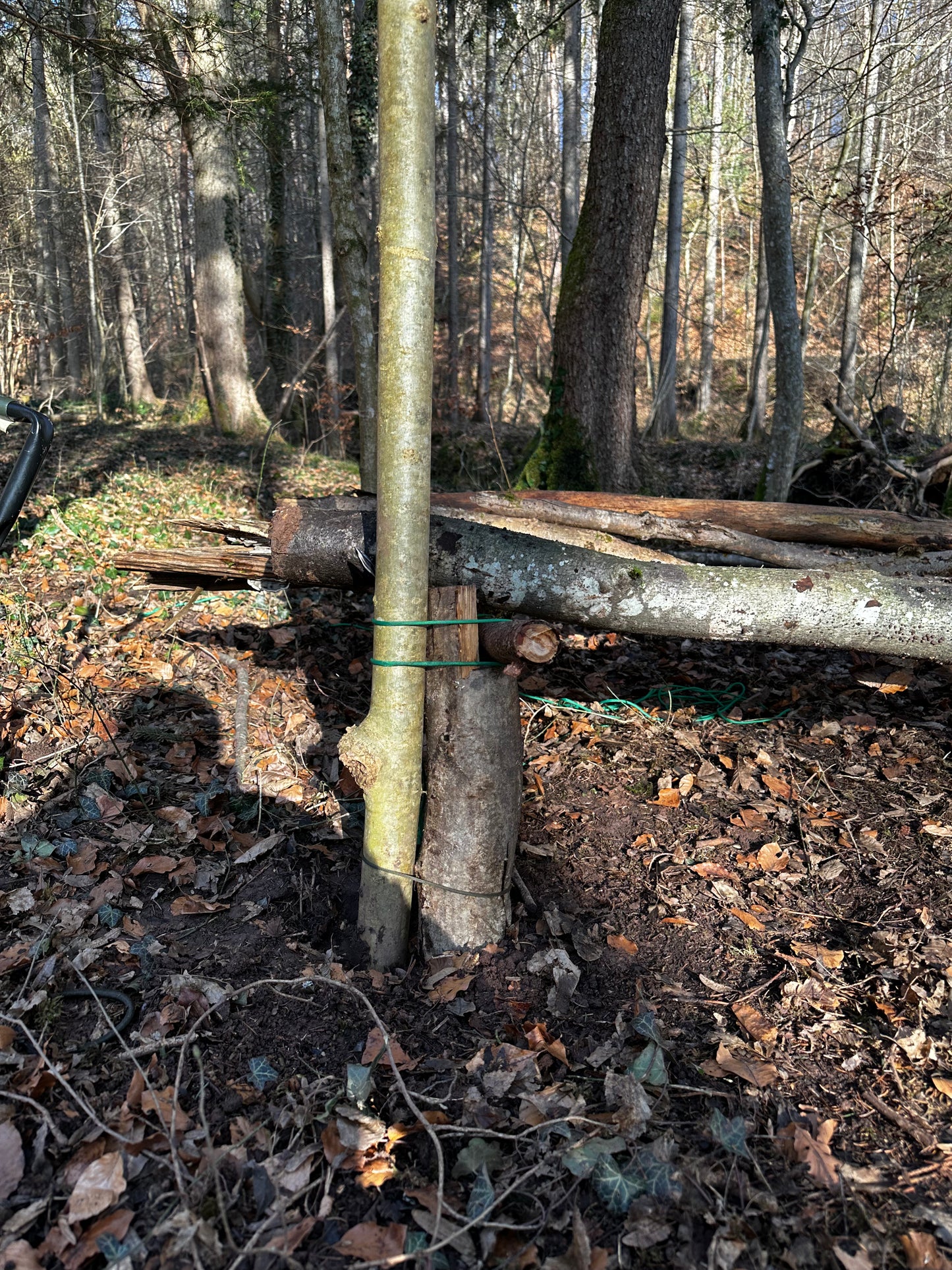 Bushcraft Workshop | 1-Tages Kurs