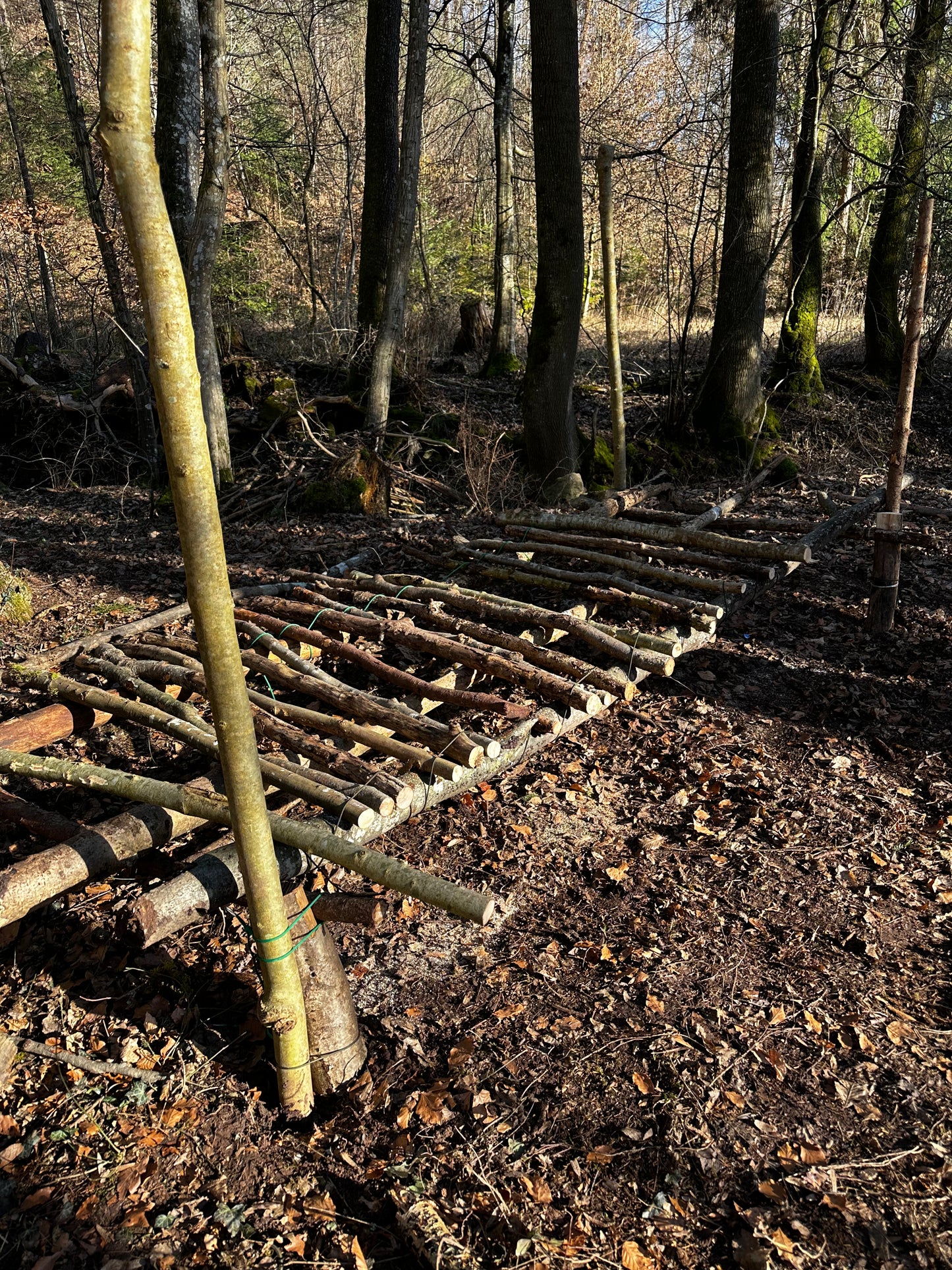 Bushcraft Workshop | 1-Tages Kurs