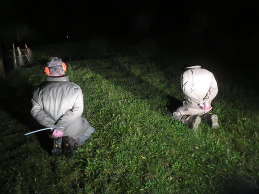 Fortgeschrittenen Survival Training | 3-Tages Kurs