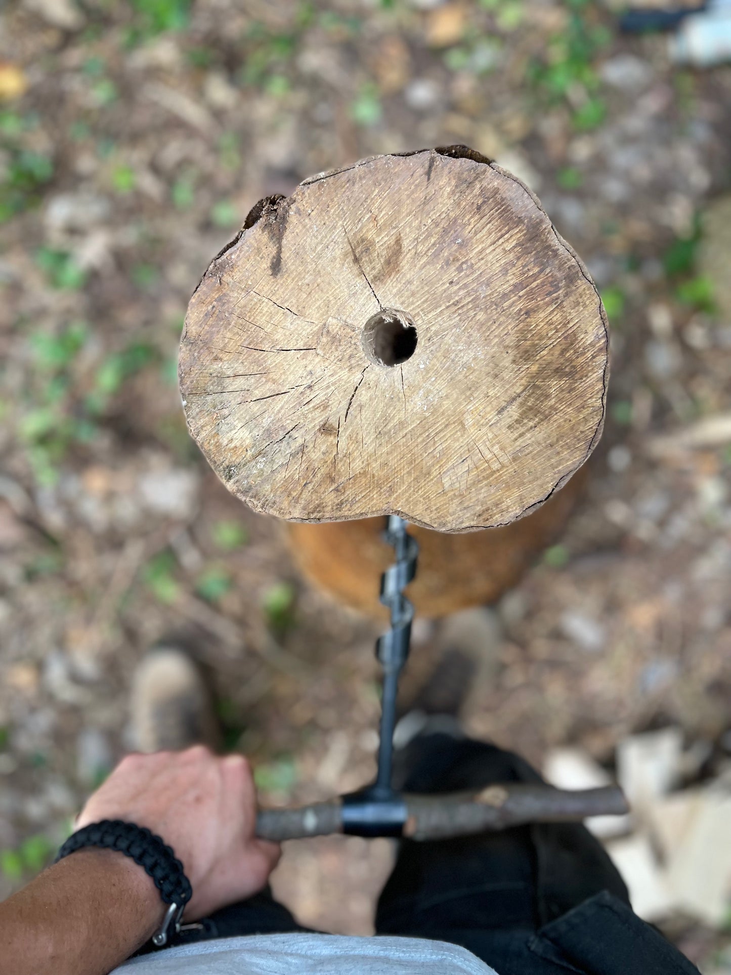 Bushcraft Workshop | 1-Tages Kurs