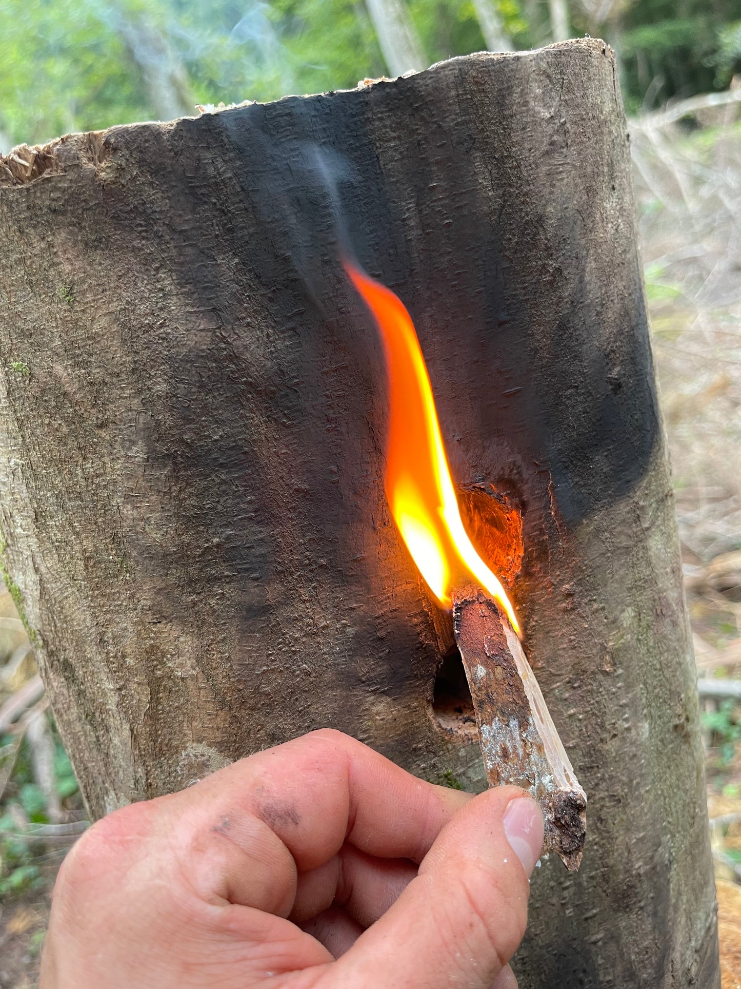 Bushcraft Workshop | 1-Tages Kurs