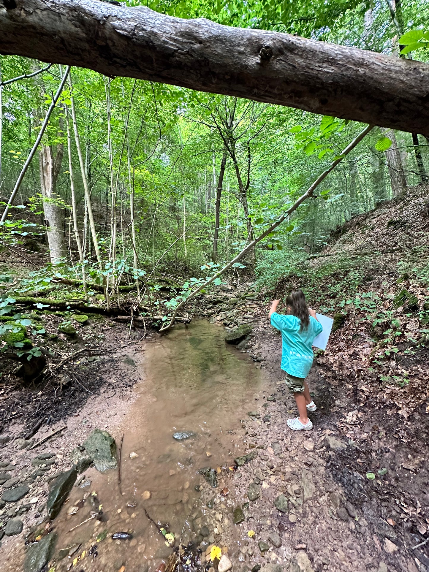 Ferienprogramm Kinder Basic Survival Training | 4 Stunden Praxis im Wald