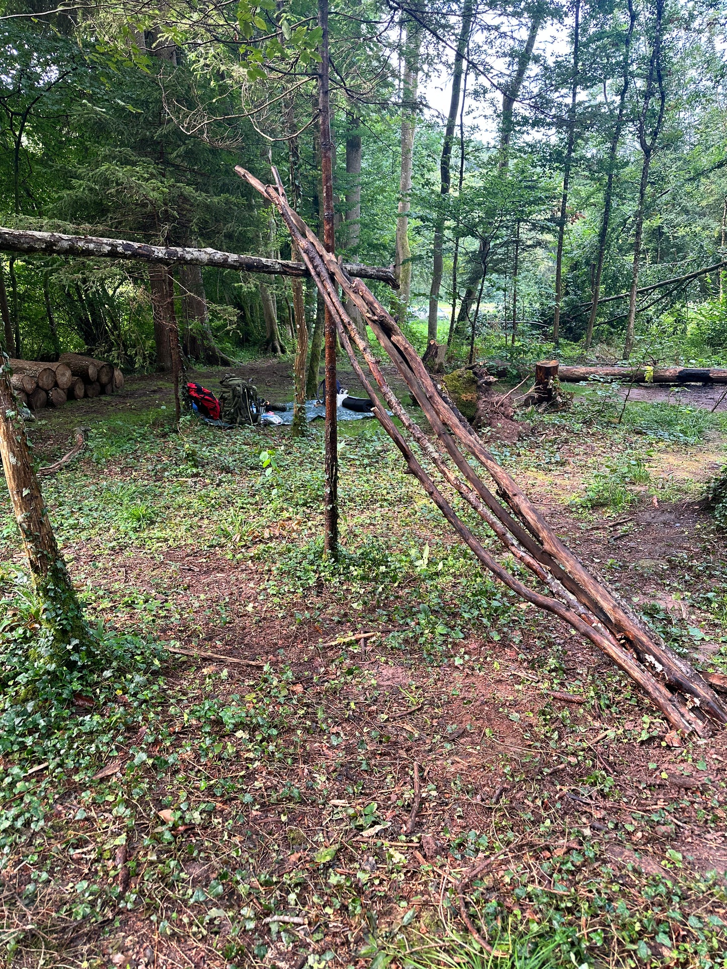 Bushcraft Workshop | 1-Tages Kurs
