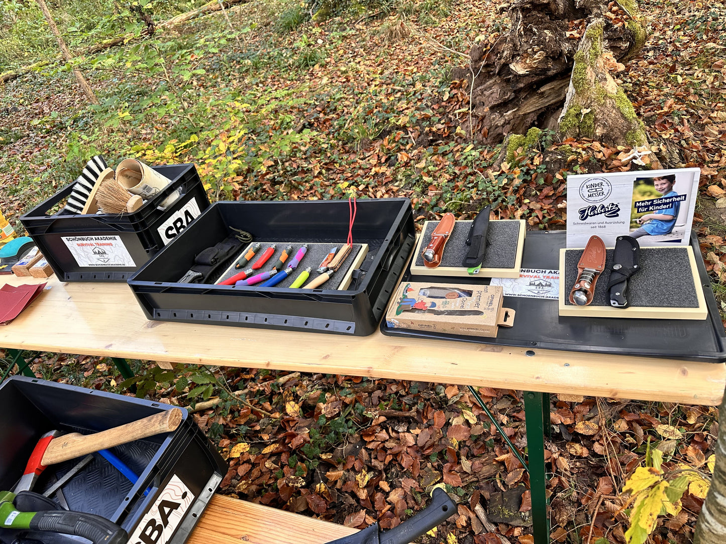 Ferienprogramm Kinder Basic Survival Training | 4 Stunden Praxis im Wald