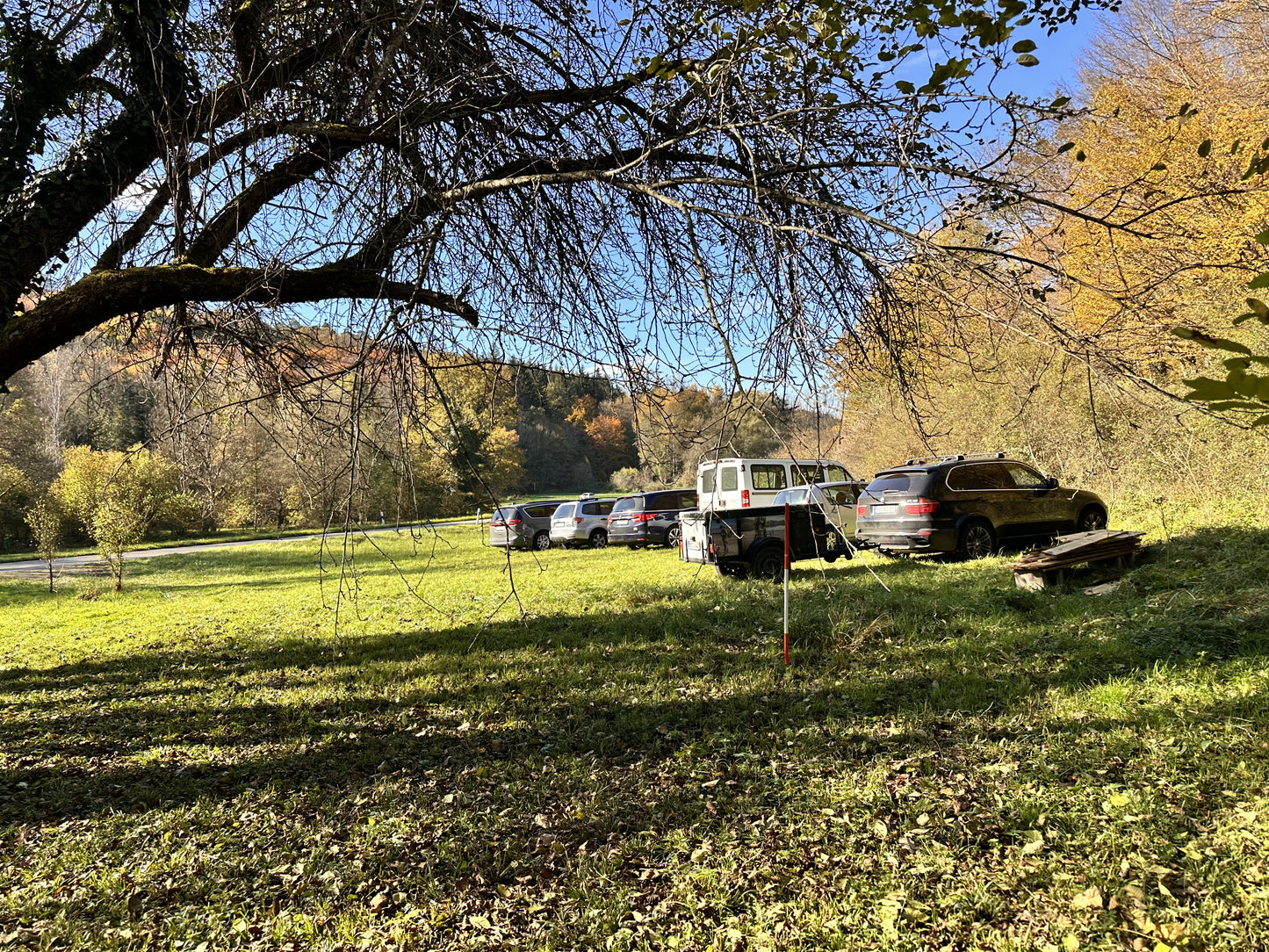 Ferienprogramm Kinder Basic Survival Training | 4 Stunden Praxis im Wald