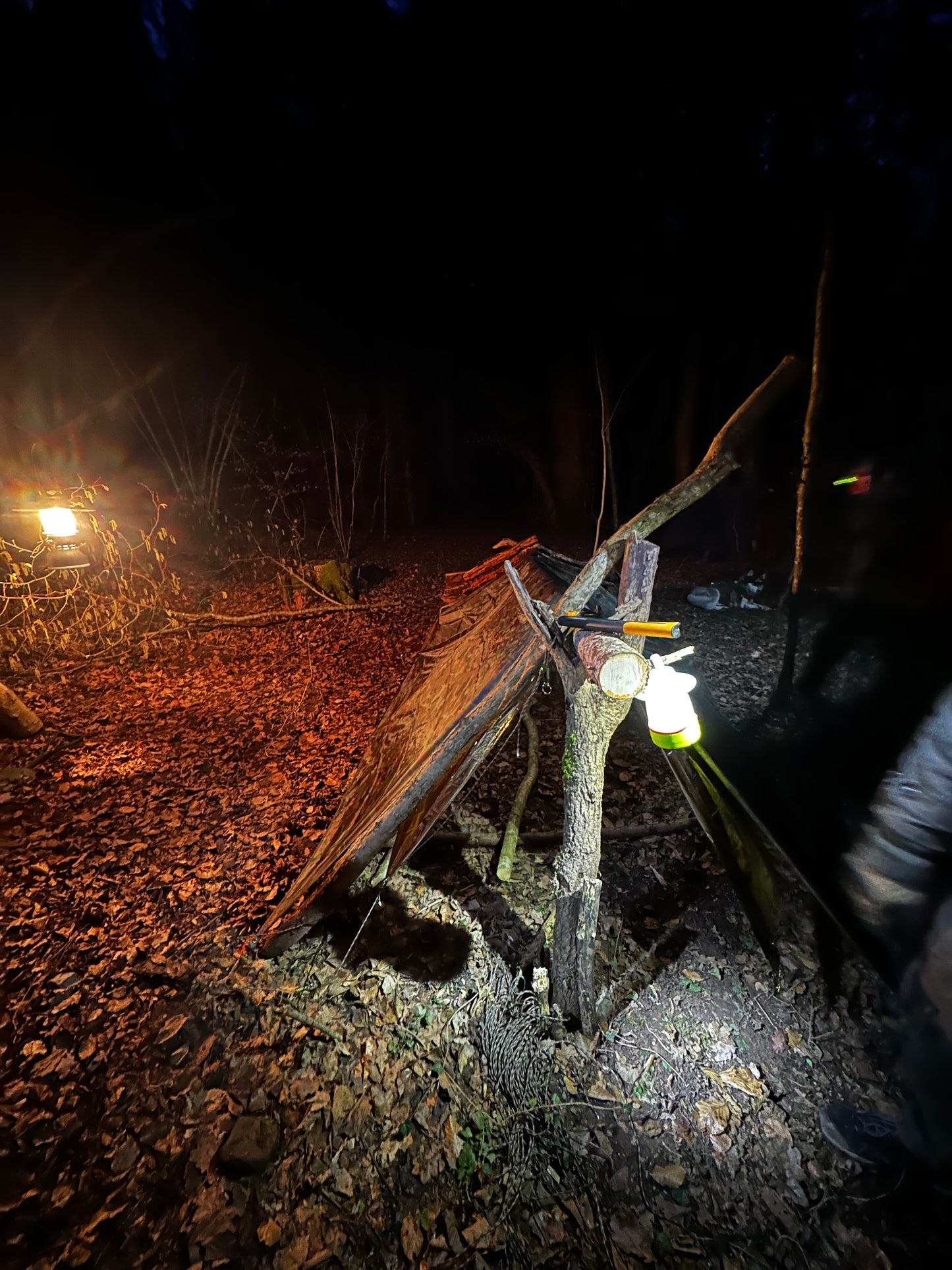 Basic Survival Training | 4 Stunden Praxis im Wald