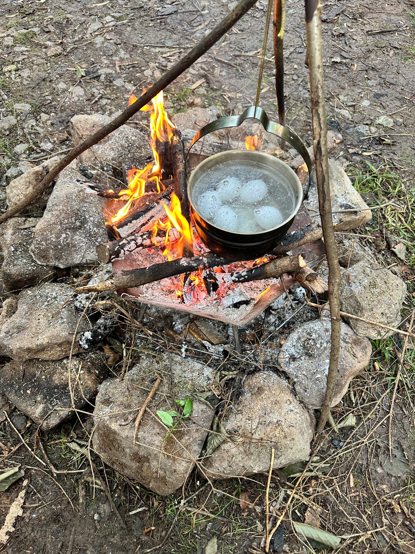 Basic Survival Training | 1-Tages Kurs
