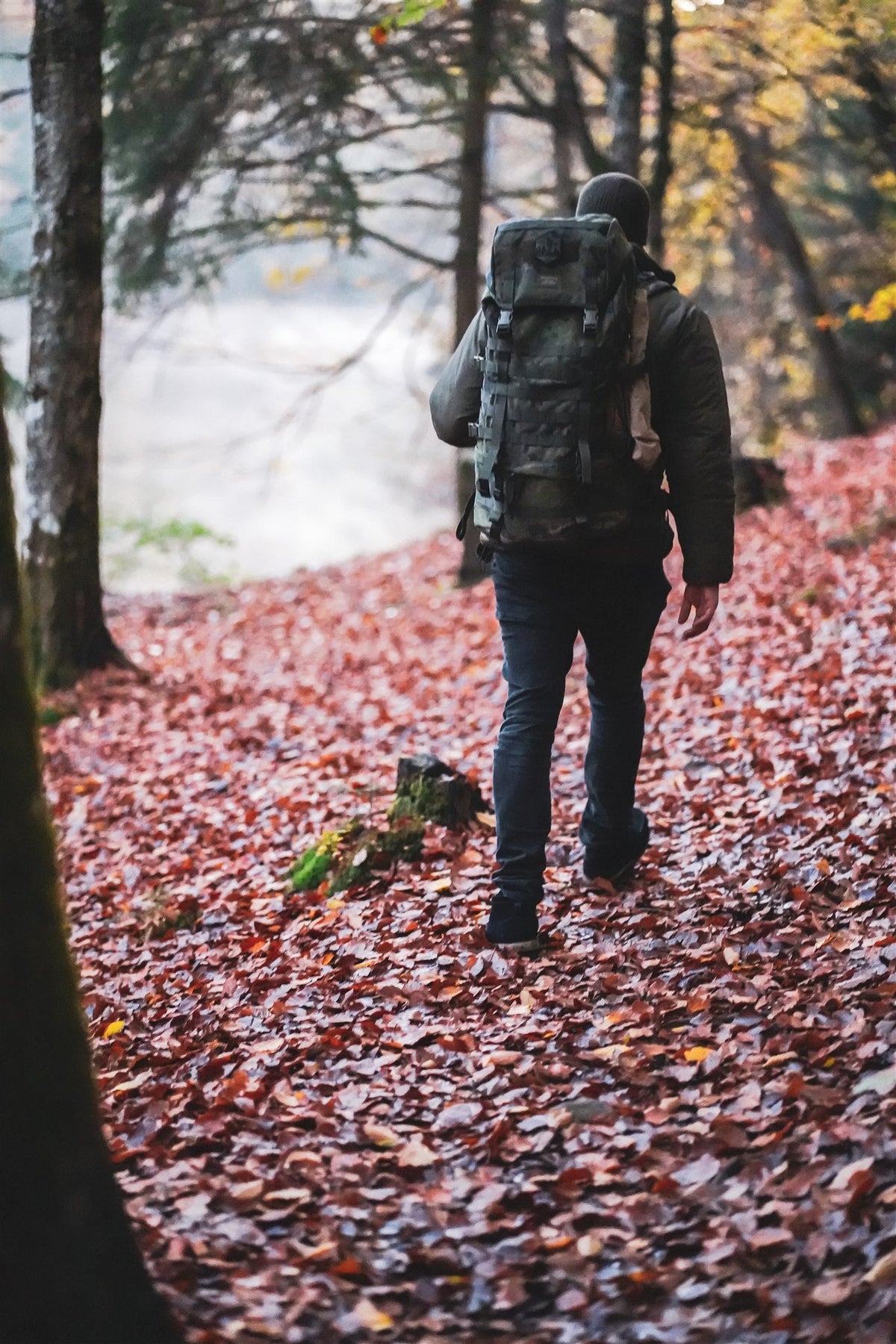 → Kurz-Kurse & Seminare (4 Stunden)