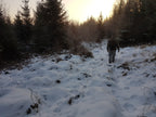 Intensive Survival Training | 3-Day Course
