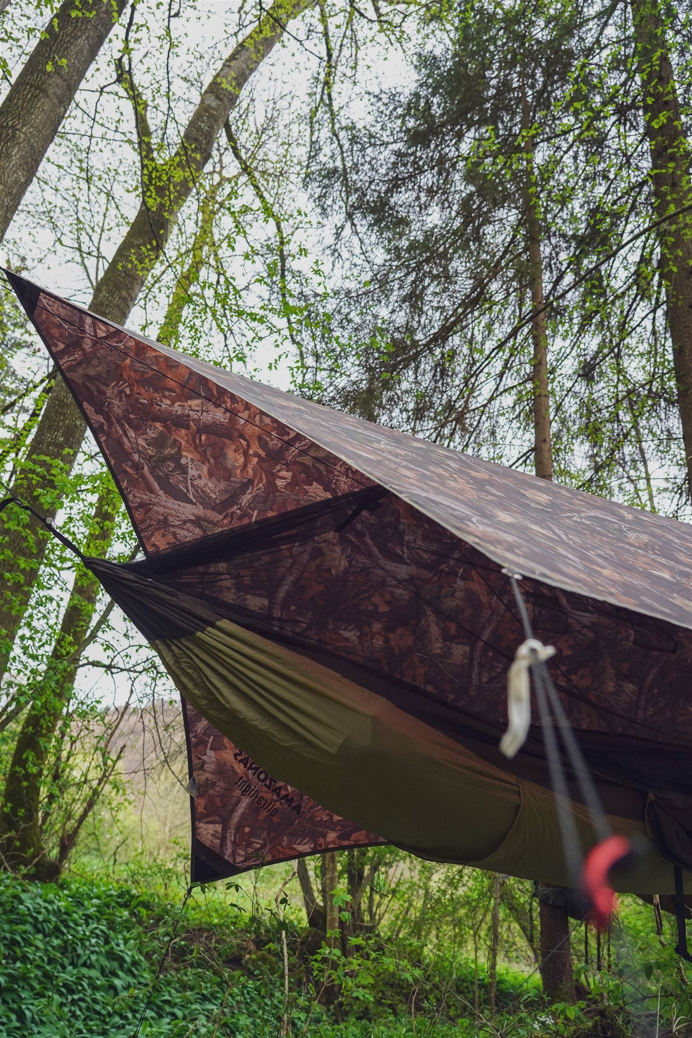 Wildnis-Training im Naturpark Schönbuch