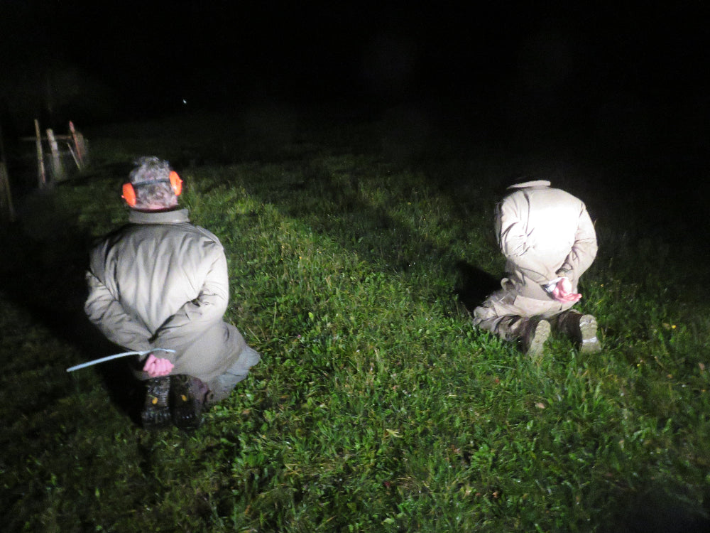 Survival Fortgeschrittenen Kurs - erweiterte Techniken