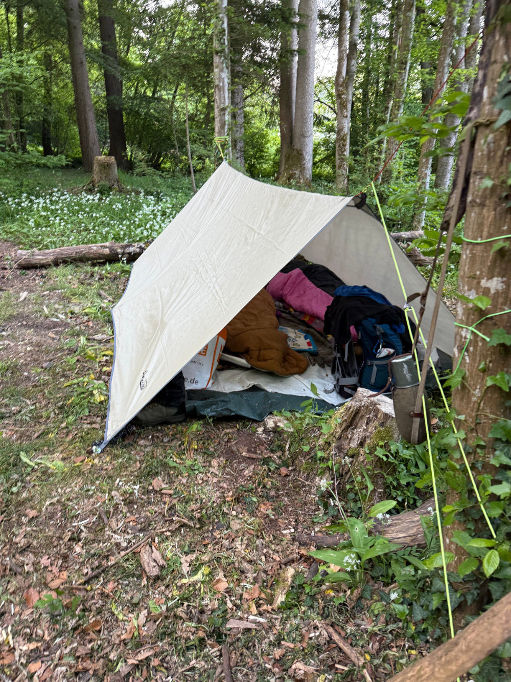 Familien Outdoor Bushcraft und Survival Training der Schönbuch Akademie Stuttgart