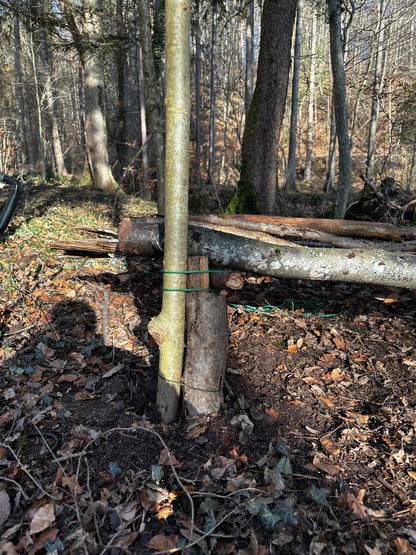 Bushcraft Workshop | 1-Tages Kurs