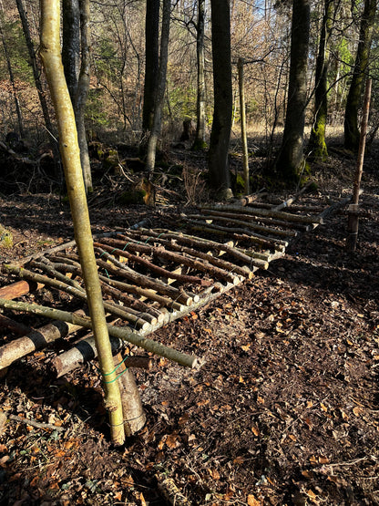 Bushcraft Workshop | 1-Tages Kurs