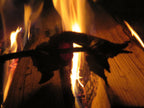 Intensive Survival Training | 3-Day Course