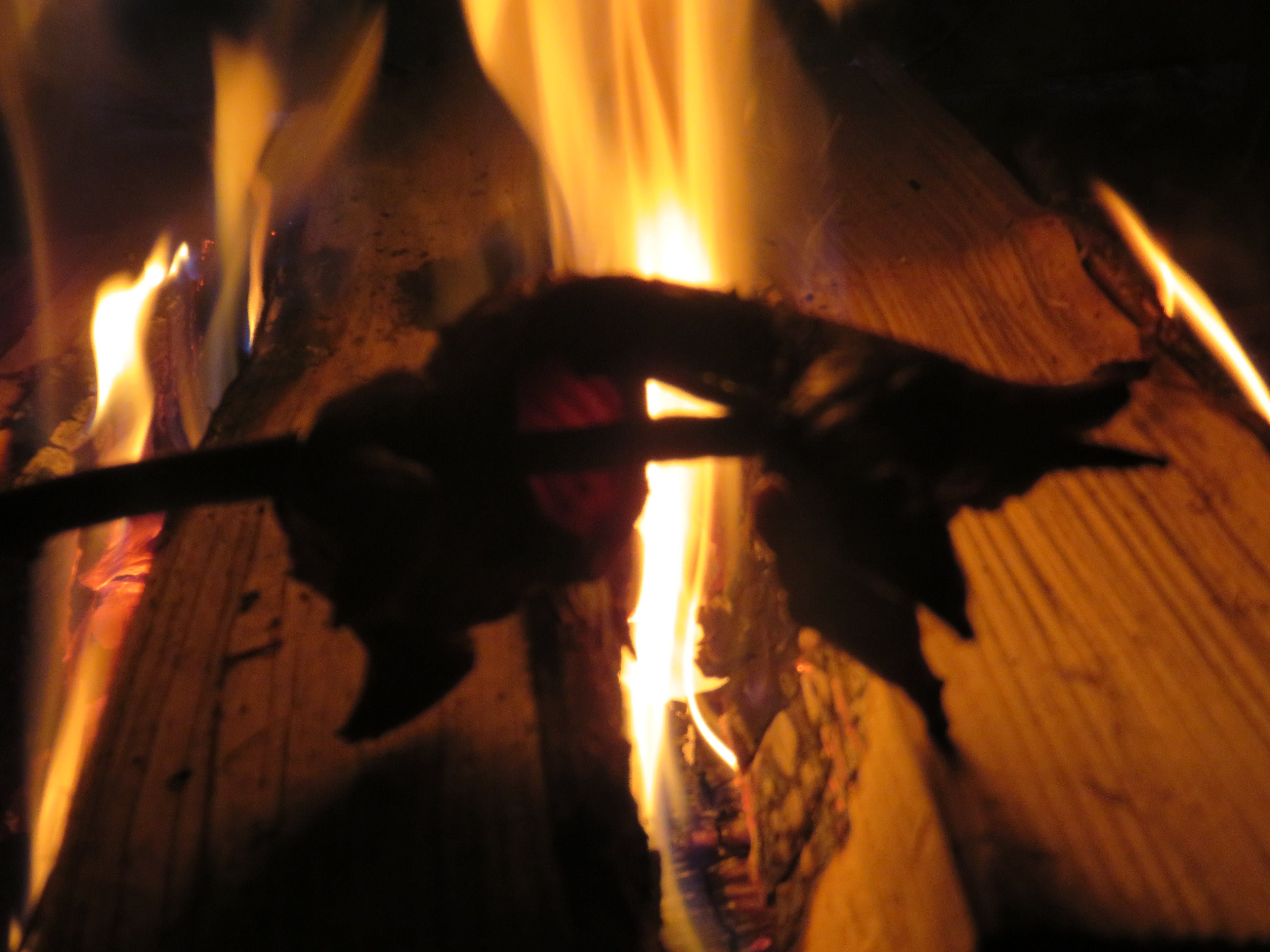Intensive Survival Training | 3-Day Course