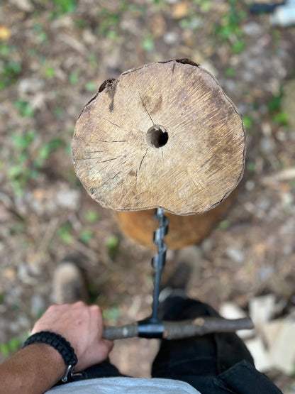 Bushcraft Workshop | 1-Tages Kurs