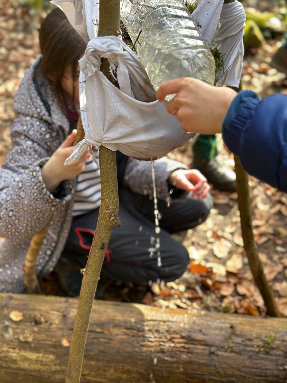 Naturerlebnis-Tag für Schulklassen bei Stuttgart