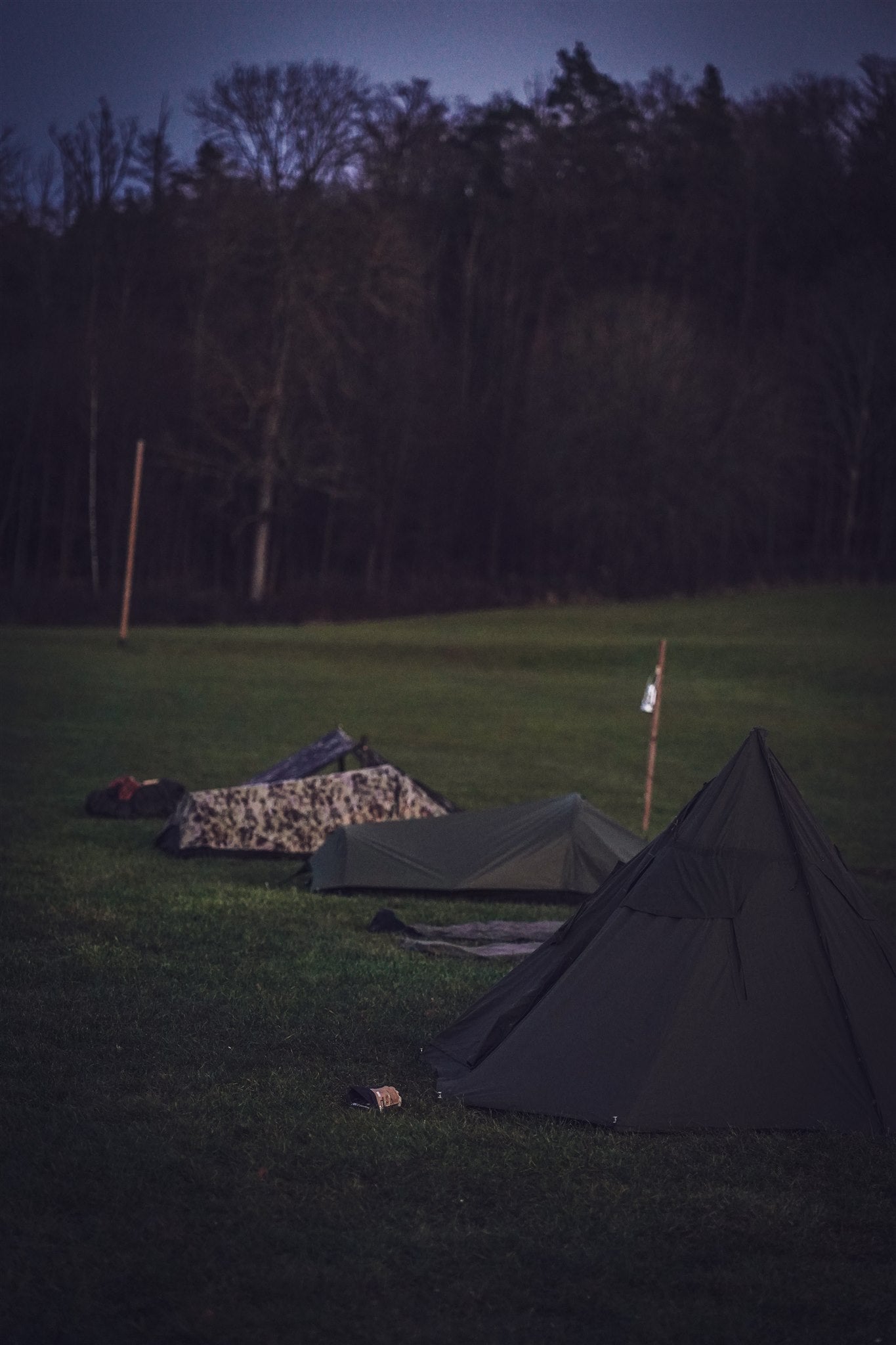 Naturverbundenes Lernen bei der Schönbuch Akademie