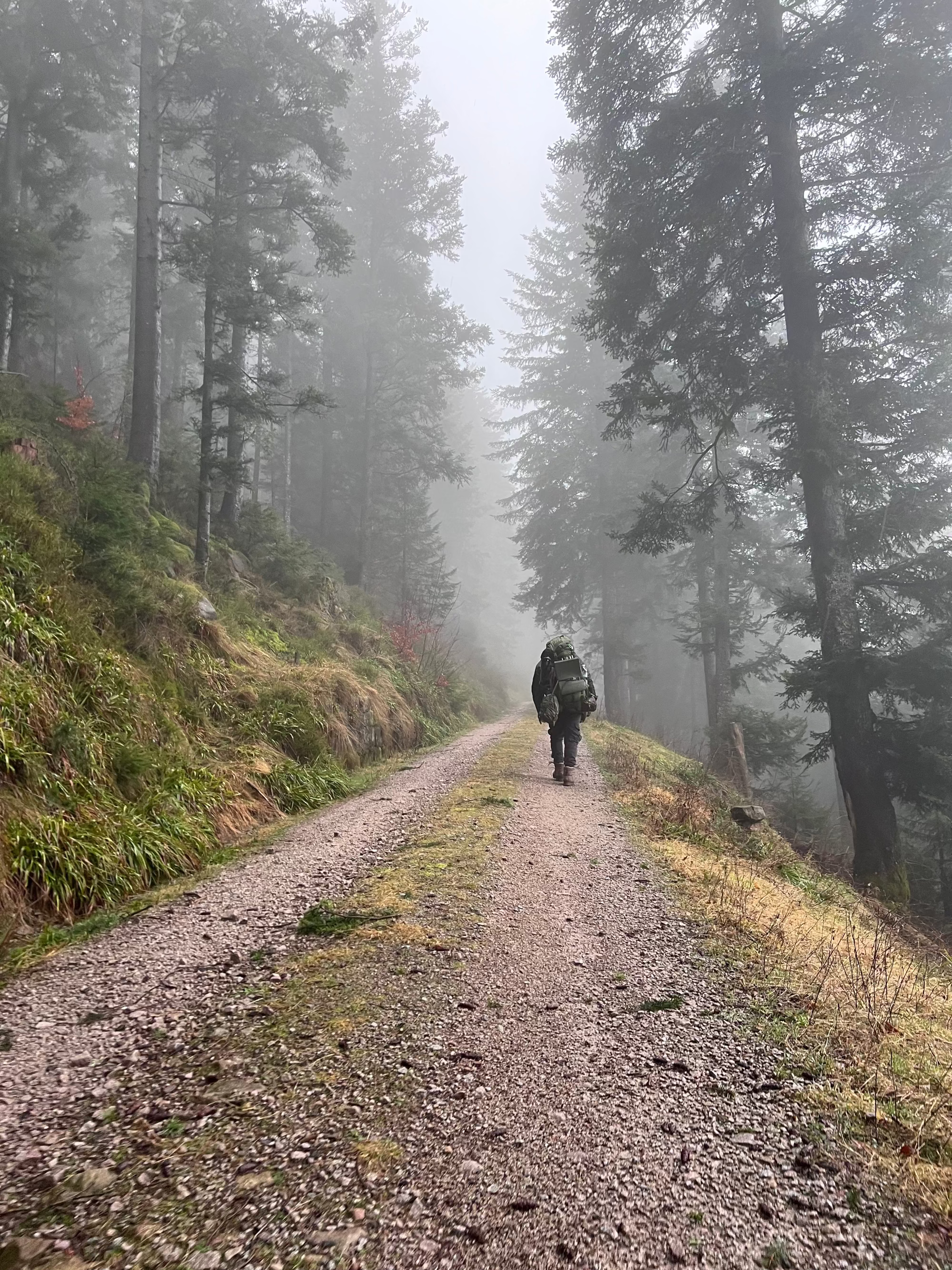 Outdoor_Wander_Ausflug_Schwarzwald-Schoenbuch-Akademie-Schwarzwald-Angel_lernen