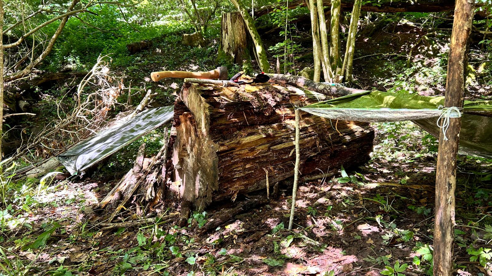 Basic Survival Training | 4 Stunden Praxis im Wald