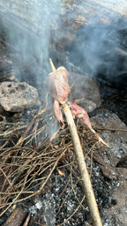 Jagdsimulation und Nahrungsgewinnung Survival Situation | 1-Tages Kurs