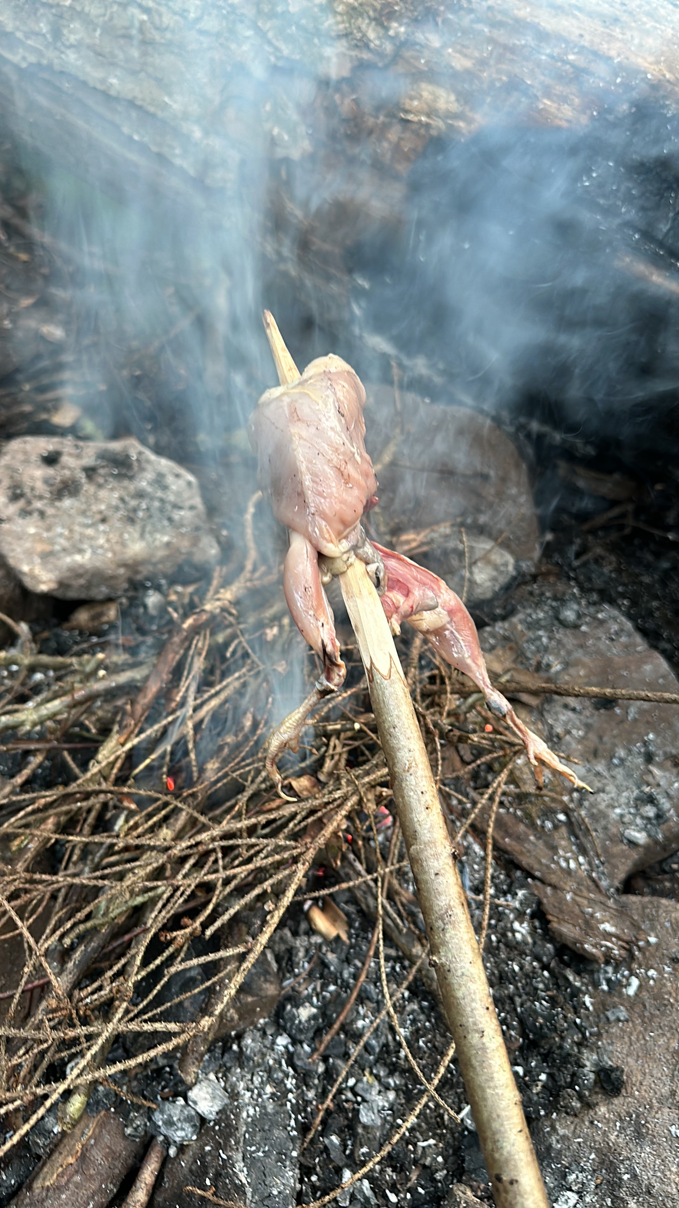 Jagdsimulation und Nahrungsgewinnung Survival Situation | 1-Tages Kurs