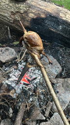 Jagdsimulation und Nahrungsgewinnung Survival Situation | 1-Tages Kurs