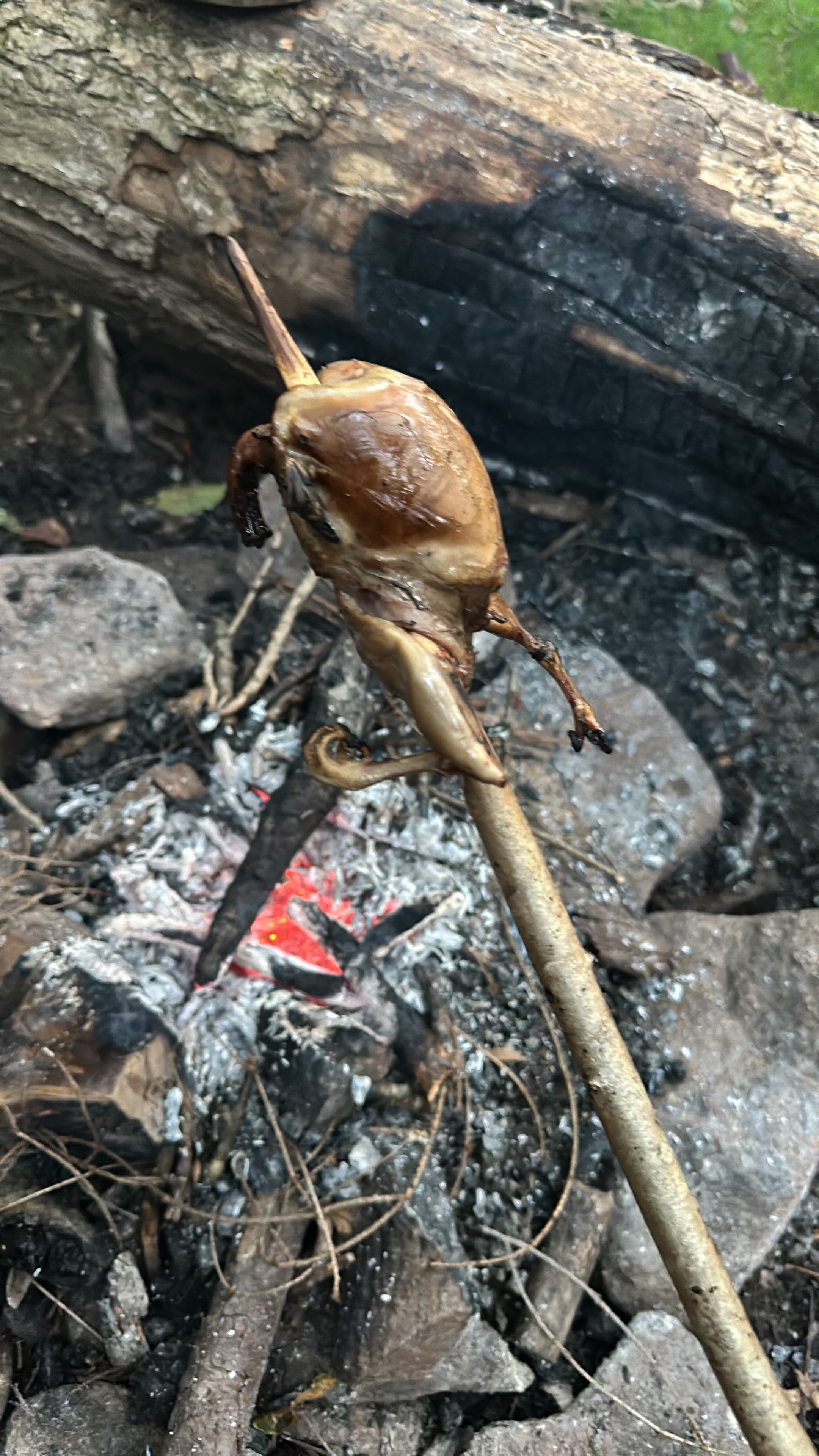 Jagdsimulation und Nahrungsgewinnung Survival Situation | 1-Tages Kurs