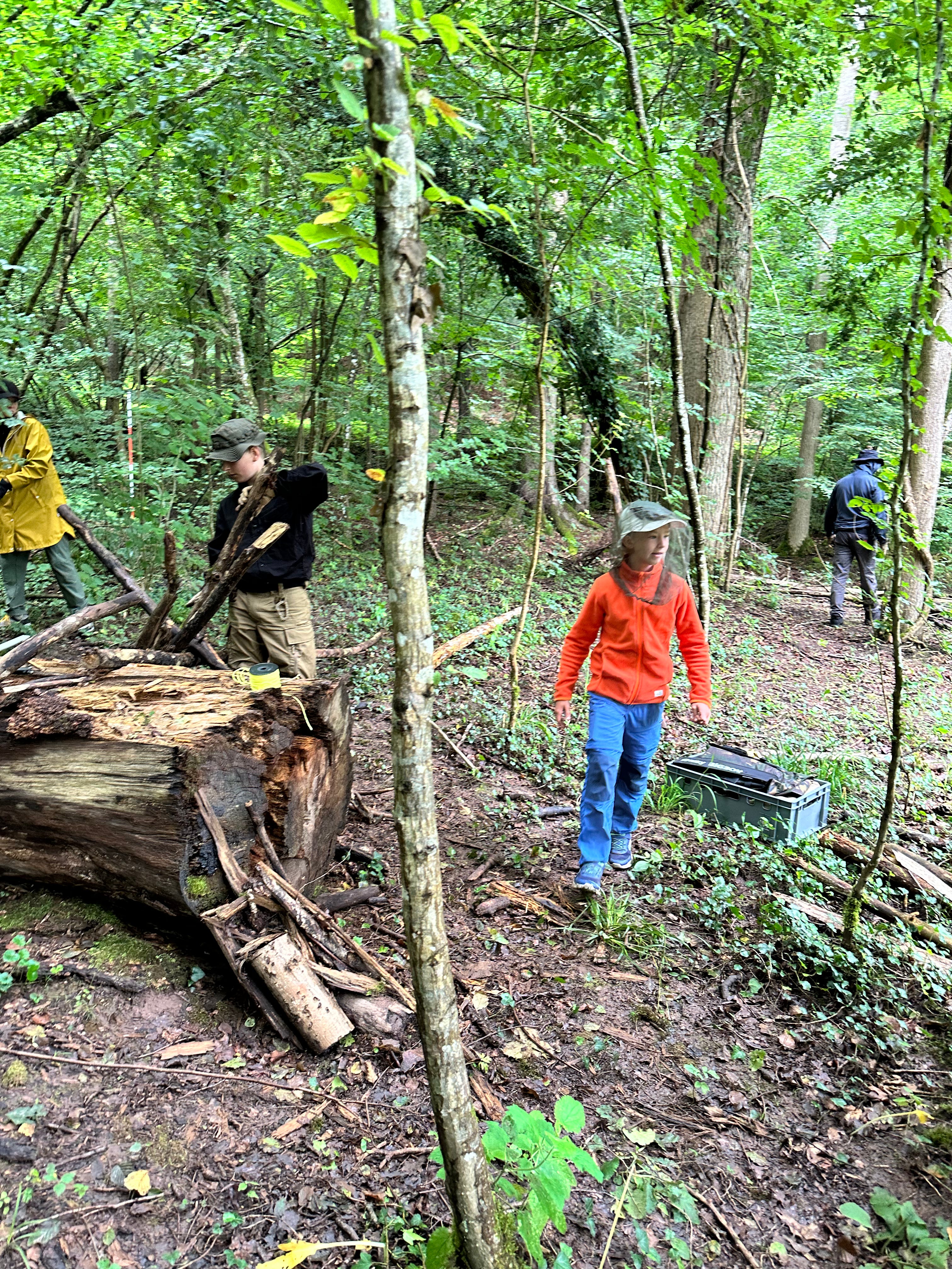 Outdoor Ferienprogramm für Kinder | 4 Stunden Praxis im Wald