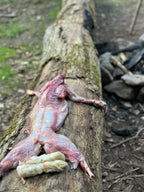 Jagdsimulation und Nahrungsgewinnung Survival Situation | 1-Tages Kurs