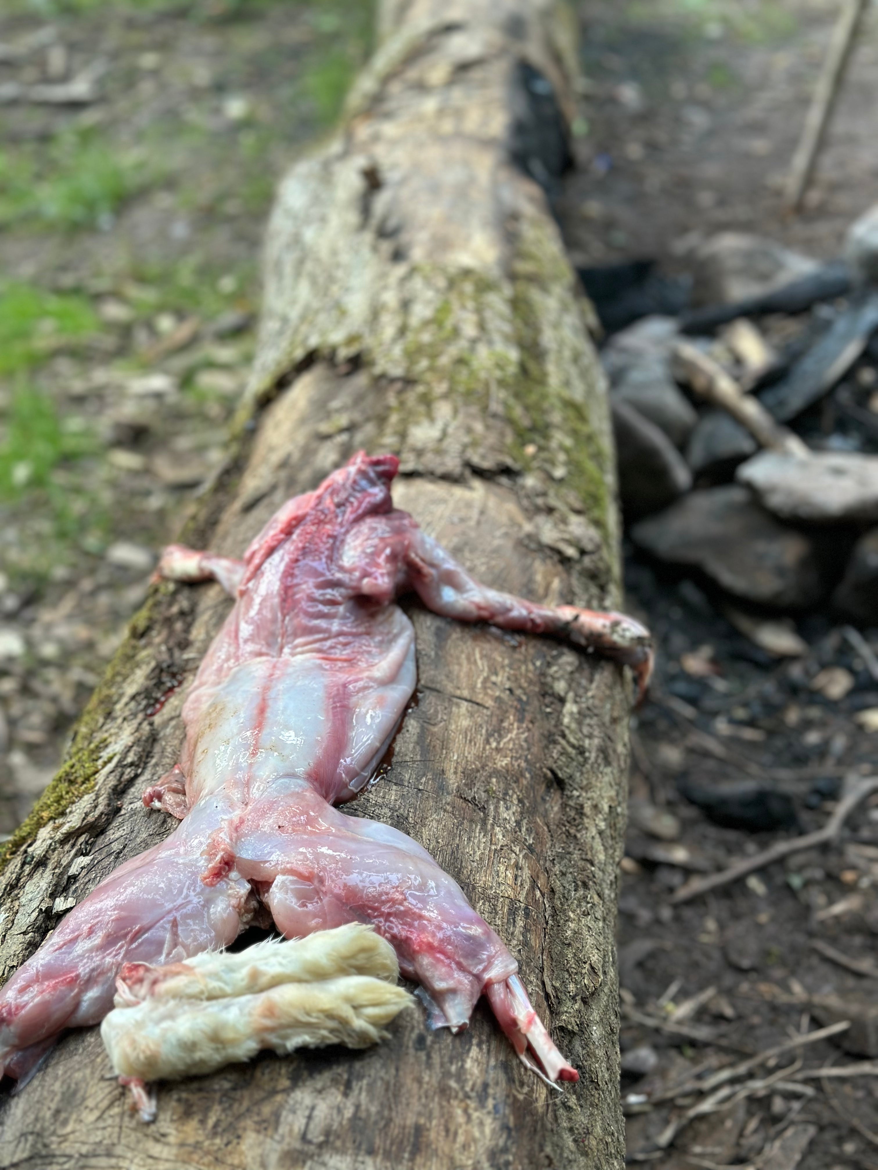 Jagdsimulation und Nahrungsgewinnung Survival Situation | 1-Tages Kurs