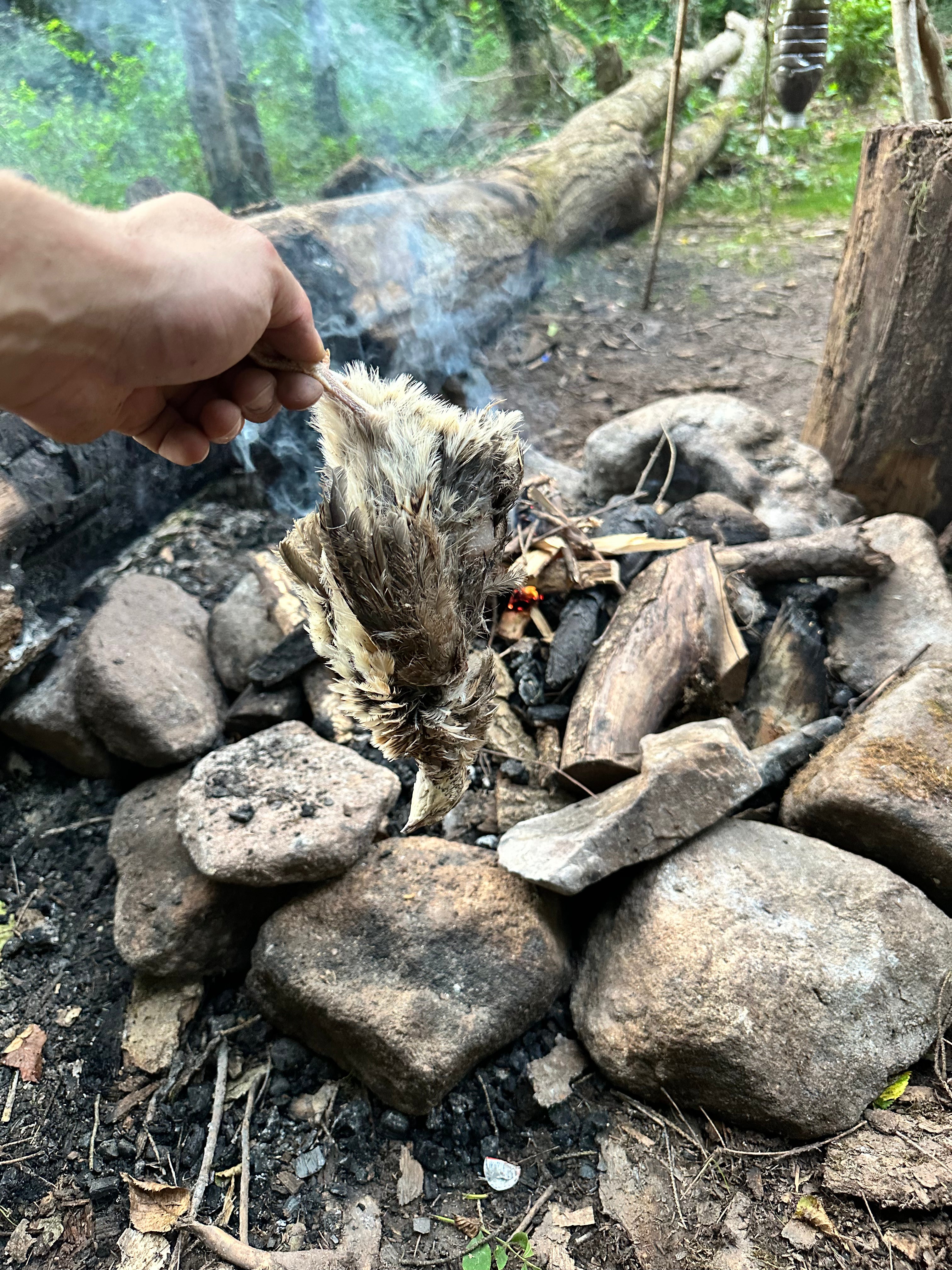 Jagdsimulation und Nahrungsgewinnung Survival Situation | 1-Tages Kurs