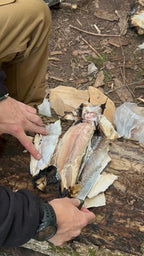 Jagdsimulation und Nahrungsgewinnung Survival Situation | 1-Tages Kurs