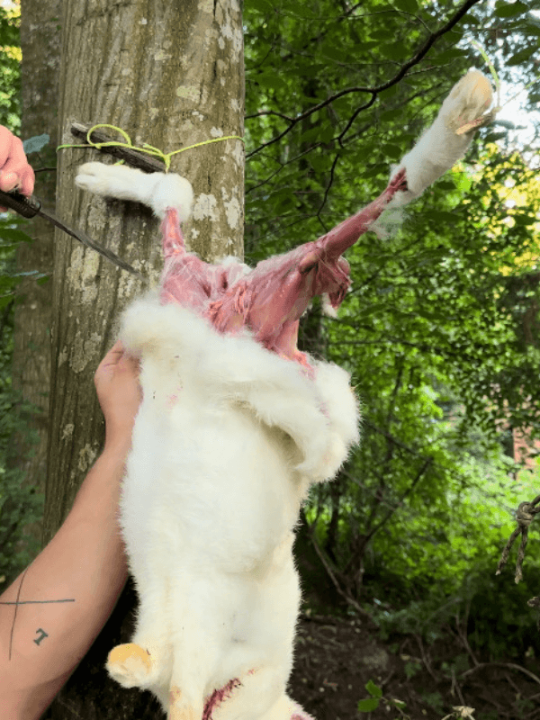 Basic Survival Training | 1-Tages Kurs