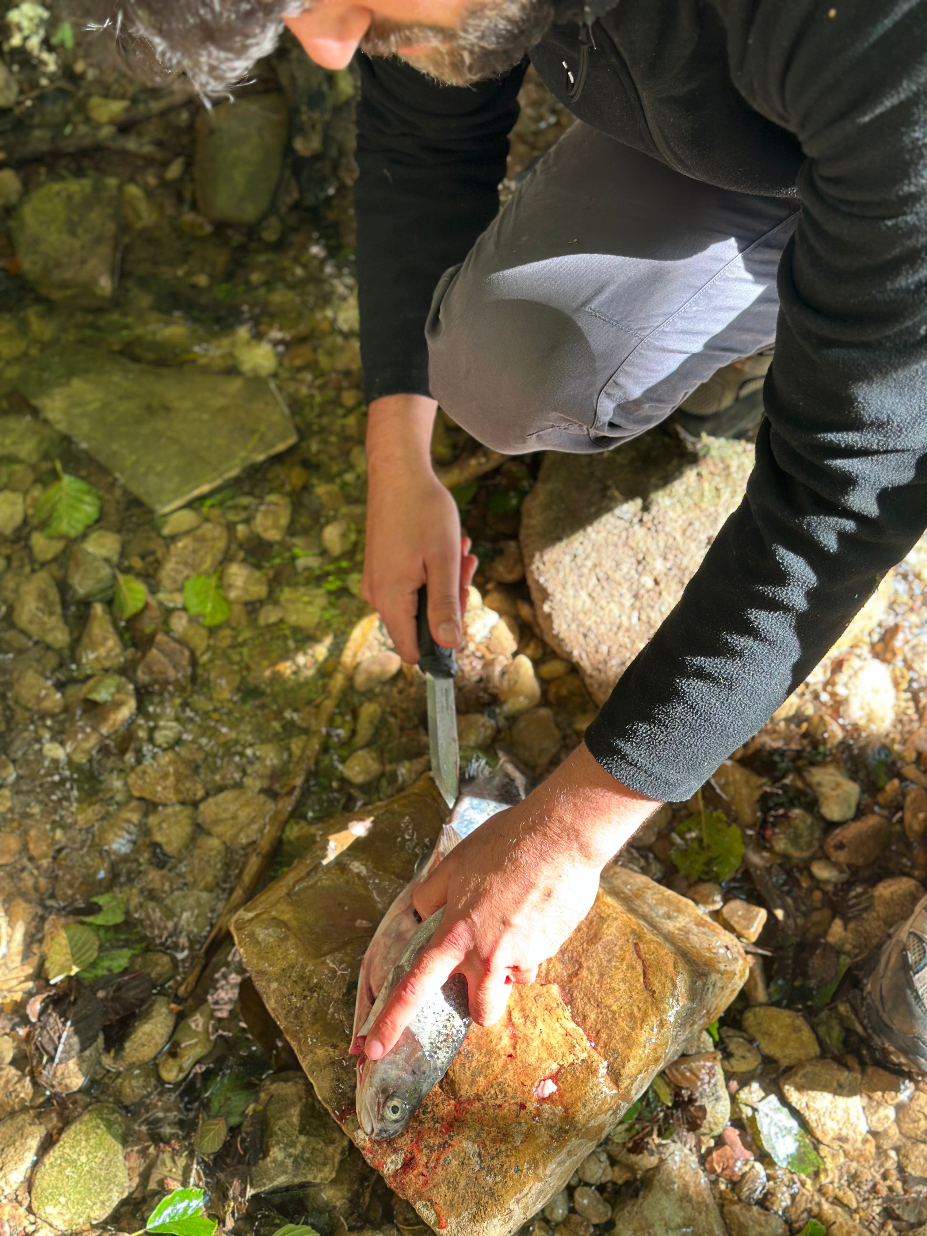 Basic Survival Training | 2-Tages Kurs