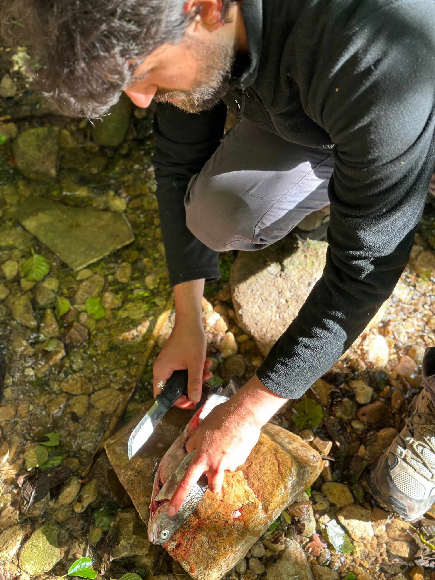 Fische Ausnehmen Survival Skills