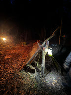 Basic Survival Training | 1-Tages Kurs