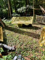 Basic Survival Training | 4 Stunden Praxis im Wald