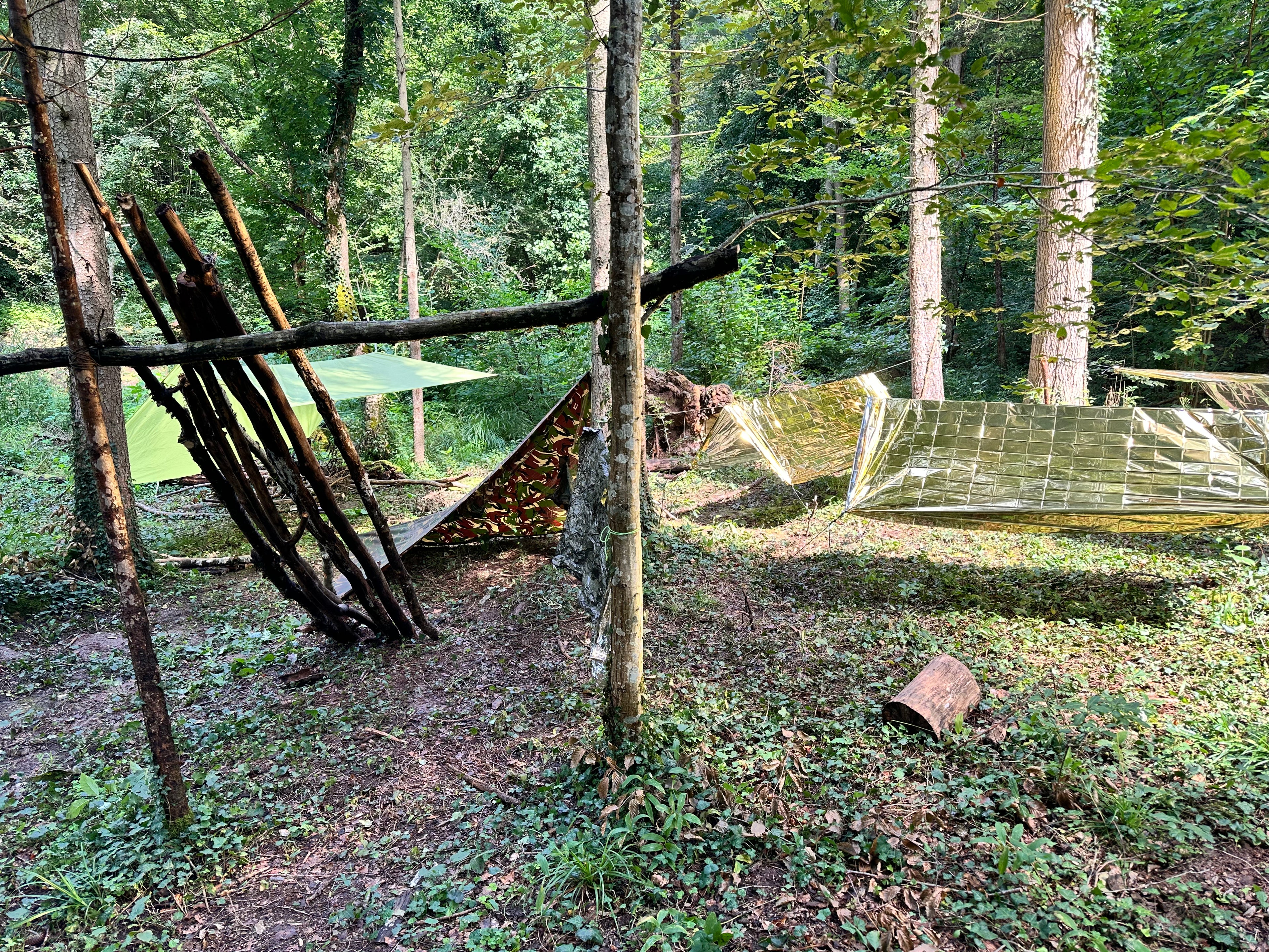 Basic Survival Training | 1-Tages Kurs