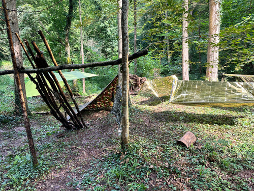 Basic Survival Training | 4 Stunden Praxis im Wald