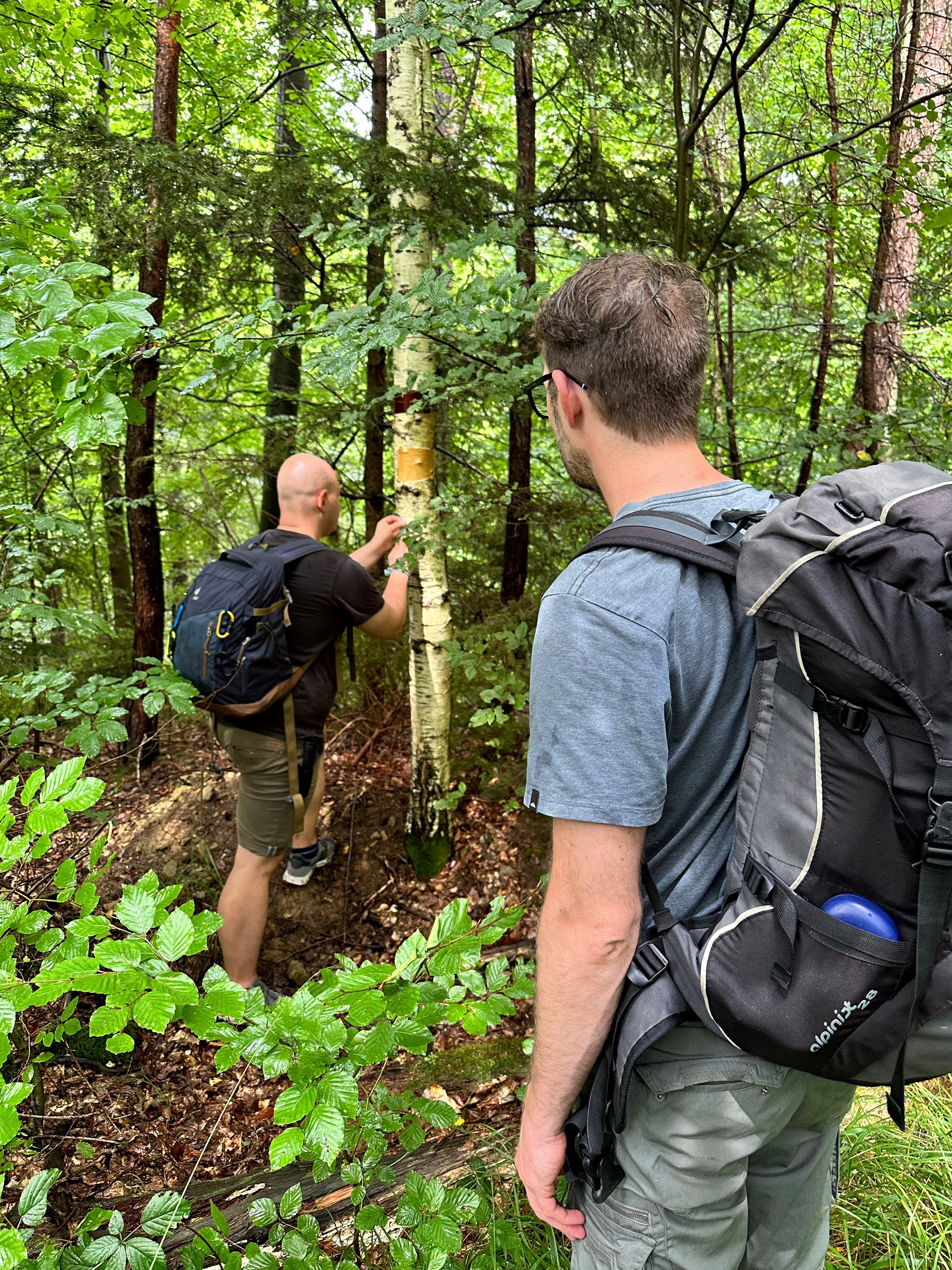 Basic Survival Training | 4 Stunden Praxis im Wald