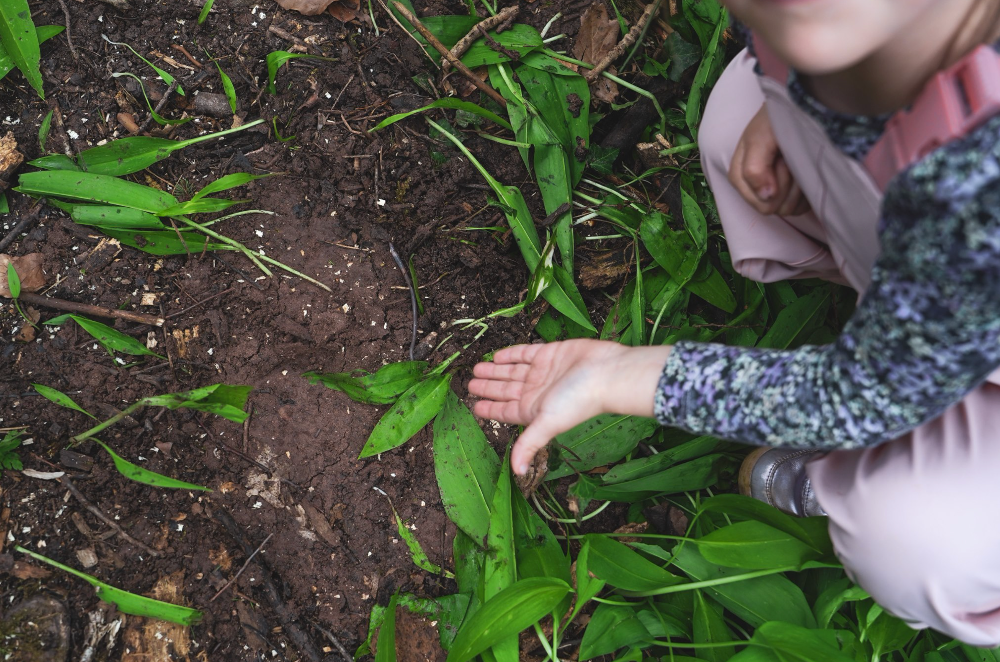 Junge Teilnehmer beim Spurenlesen im Schönbuch