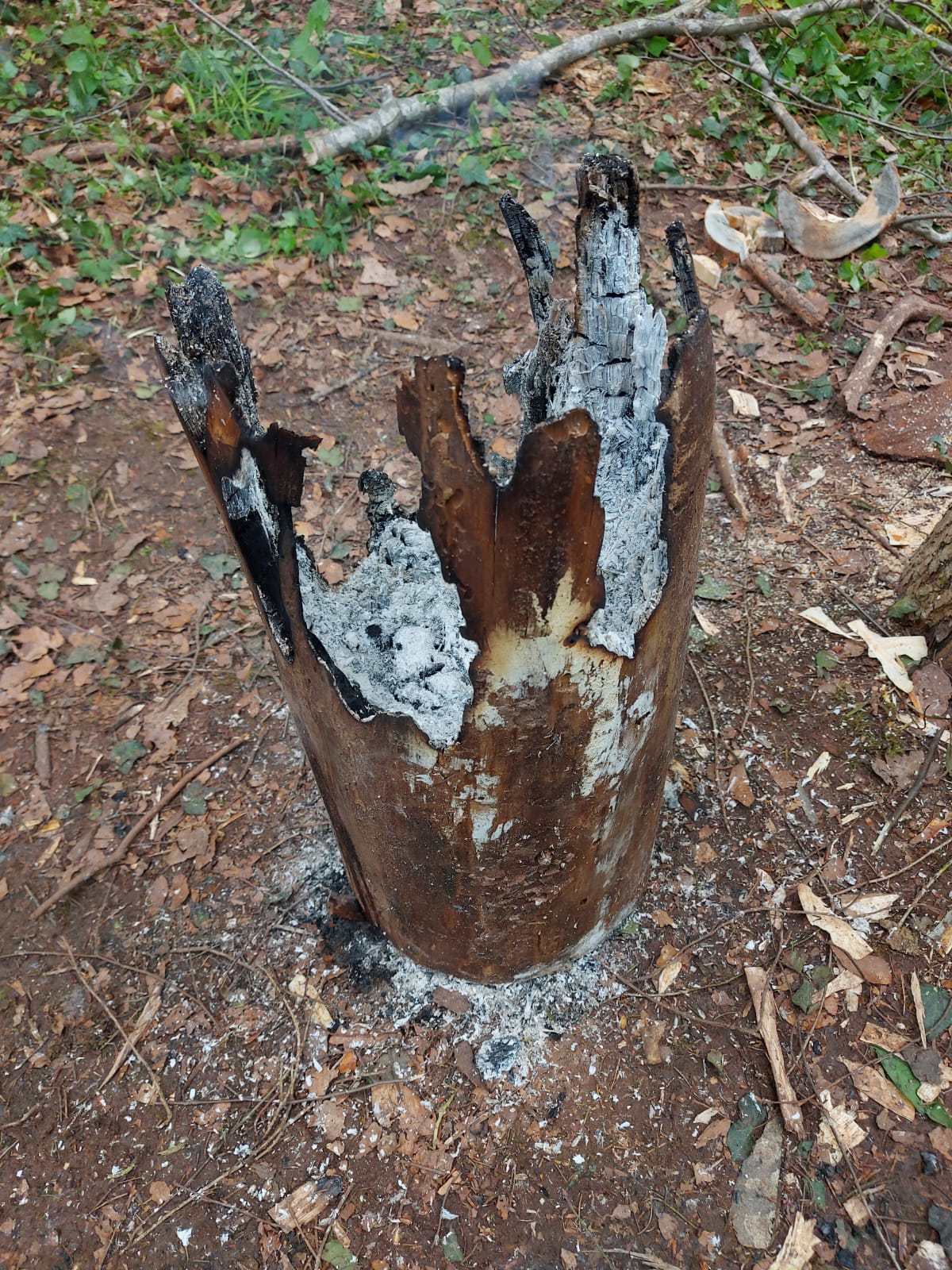 Bushcraft Workshop | 1-Tages Kurs - Schönbuch Akademie