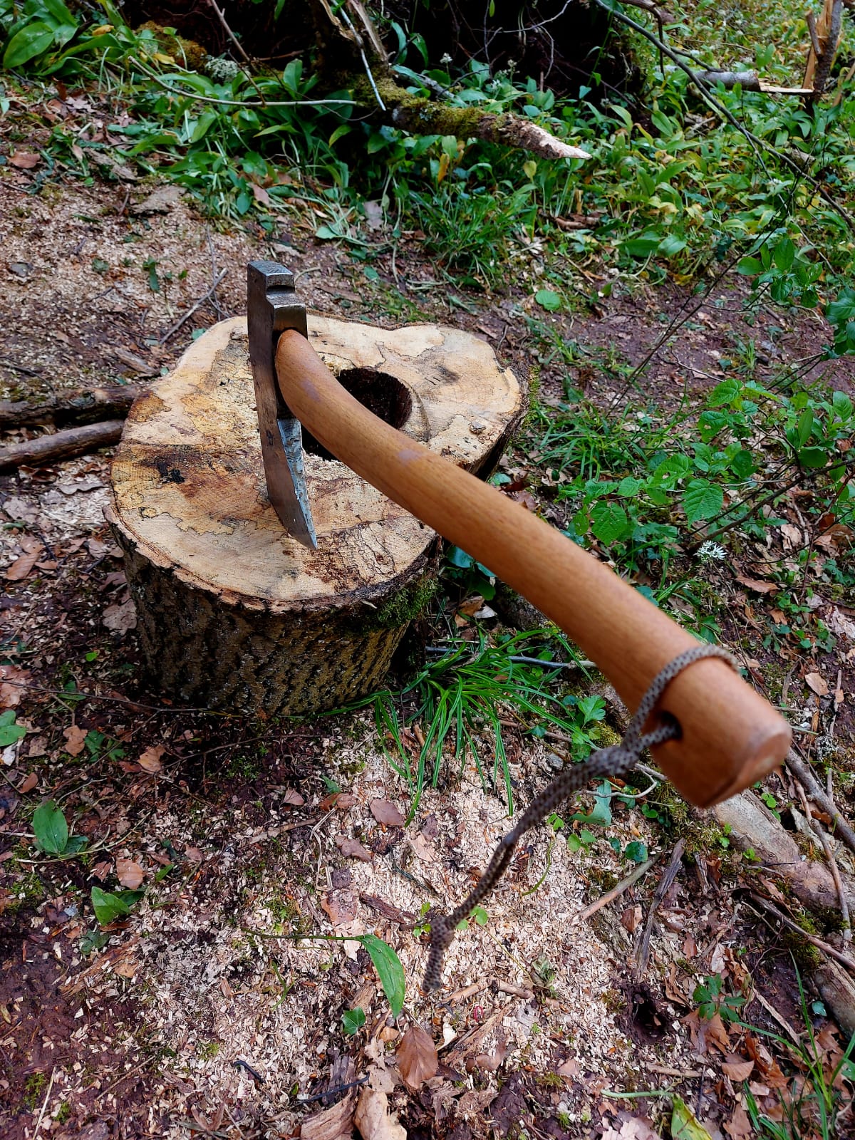 Bushcraft Workshop | 1-Tages Kurs - Schönbuch Akademie