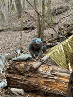 Gruppen Survival Training | 1 Tages Kurs für Gruppen - Schönbuch Akademie